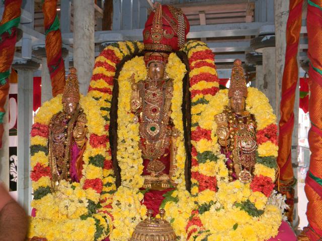 Thiruvallur_Ther_083