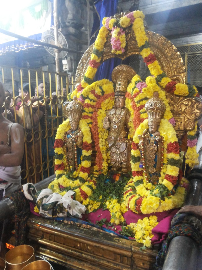Thiruvalur Vaikunda Ekadasi Purappadu 2014--05