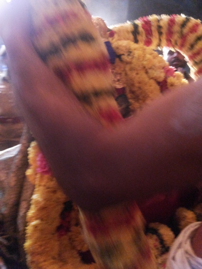Thiruvalur Vaikunda Ekadasi Purappadu 2014--13