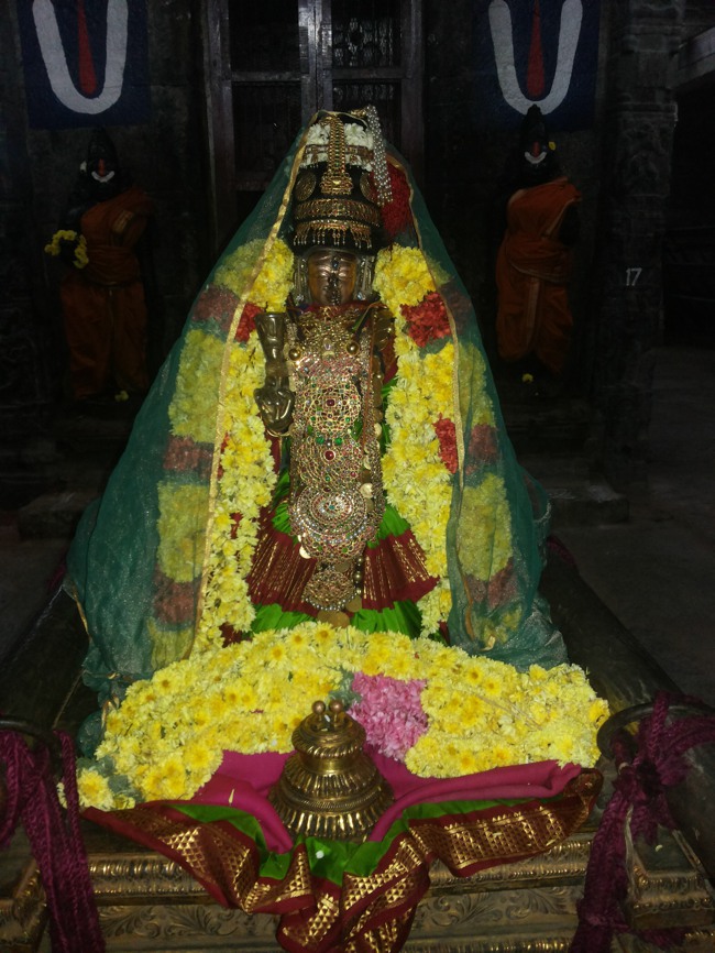 Thiruvalur Vaikunda Ekadasi Purappadu 2014--17