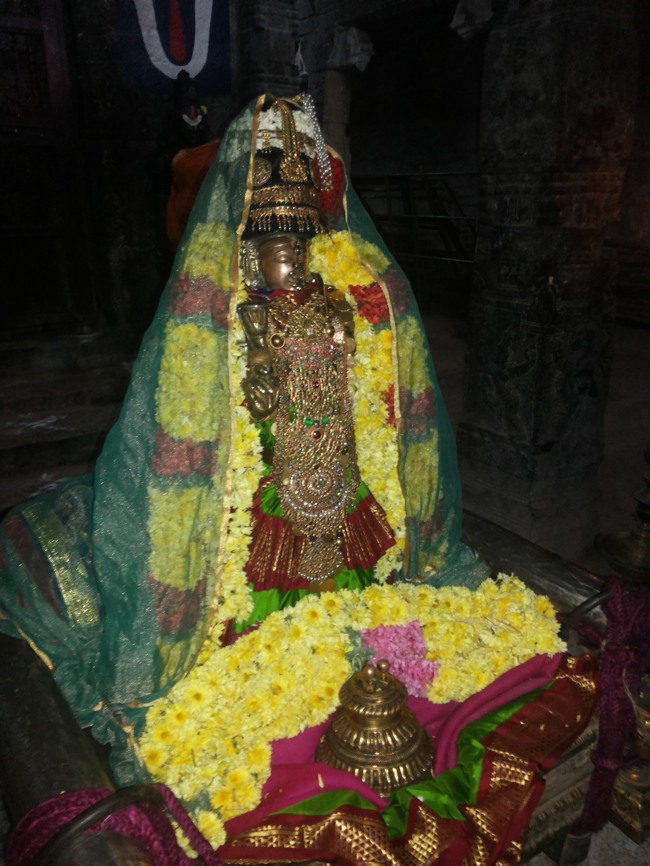 Thiruvalur Vaikunda Ekadasi Purappadu 2014--19