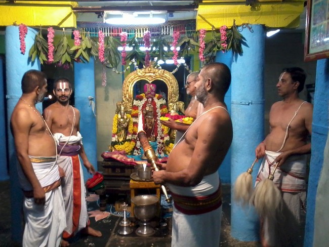 Thiruvekka Nammazhwar THiruvadi THozhal 2014  -15