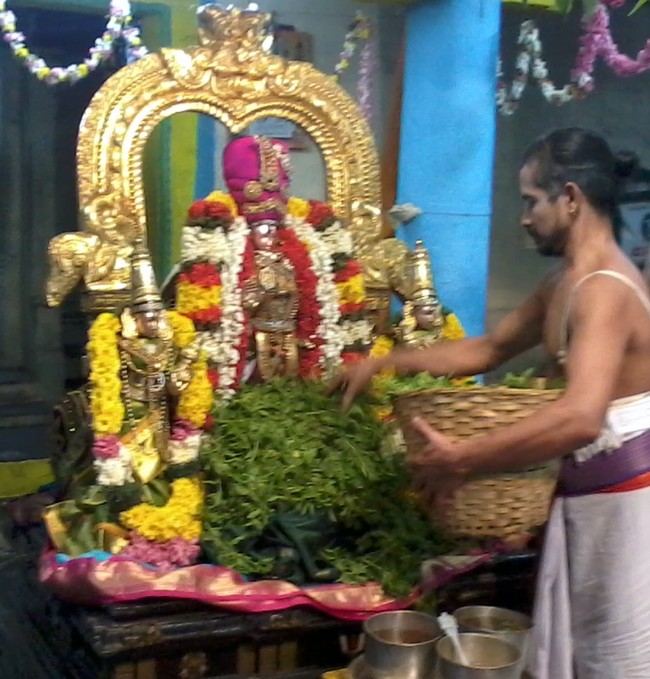 Thiruvekka Nammazhwar THiruvadi THozhal 2014  -27