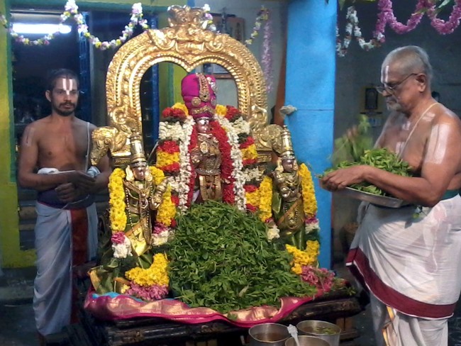 Thiruvekka Nammazhwar THiruvadi THozhal 2014  -28