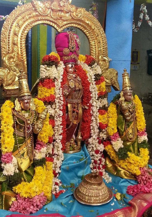 Thiruvekka Nammazhwar Thiruvadi Thozhal 2014  -01