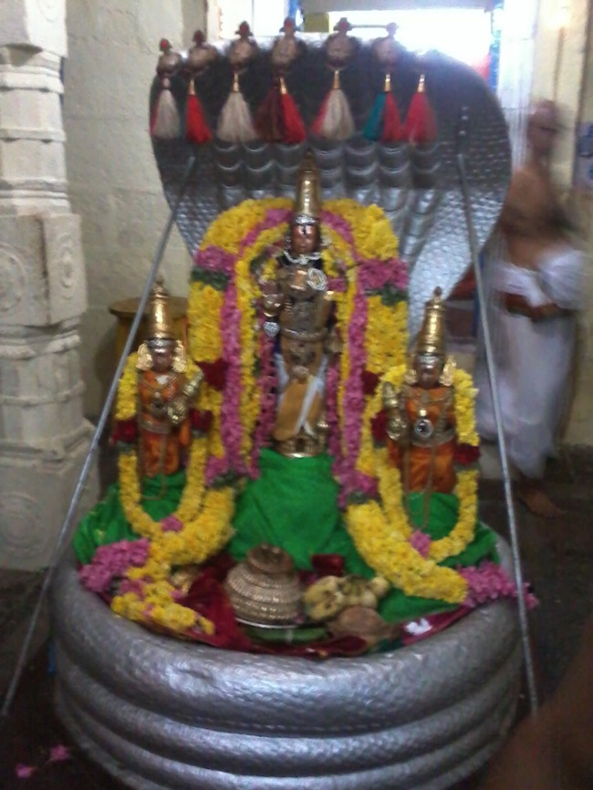 Thiruvekka Thirumazhisai Azhwar THirunakshatram 2014--00