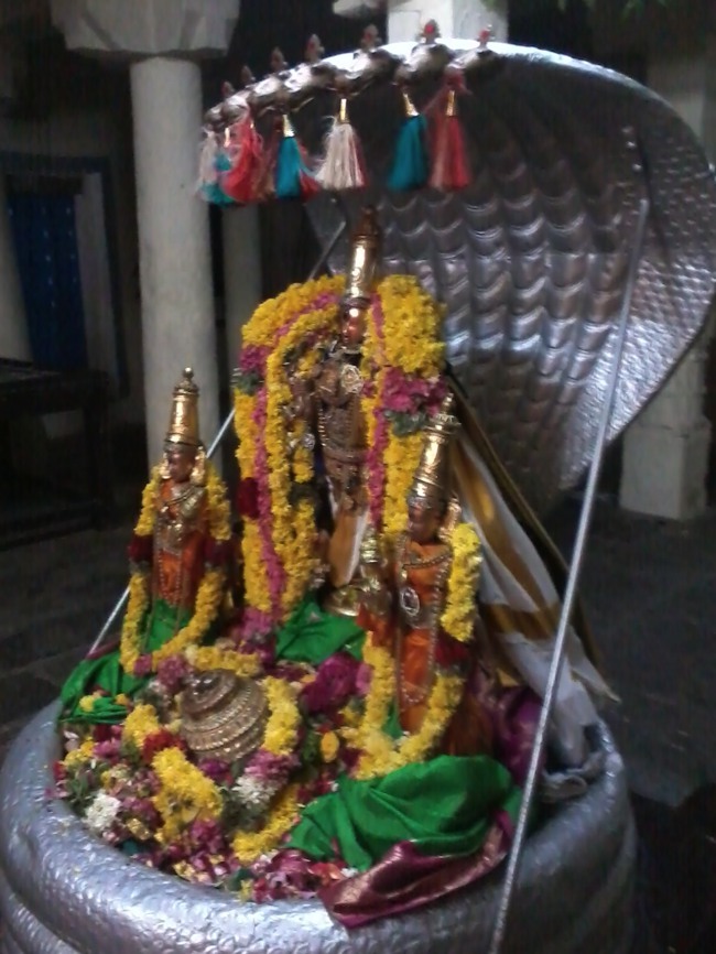 Thiruvekka Thirumazhisai Azhwar THirunakshatram 2014--03