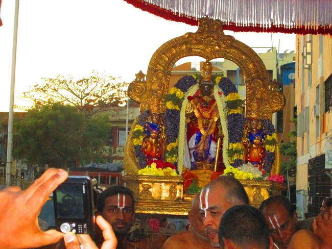 Triplicane Parthasarathi Thai ekadasi Purappadu 2014 -26