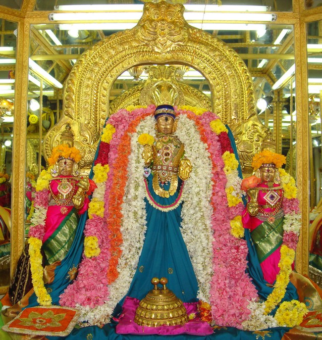 Vaikunda Ekadasi Sevai at Thiruvellukkai 2014 -08