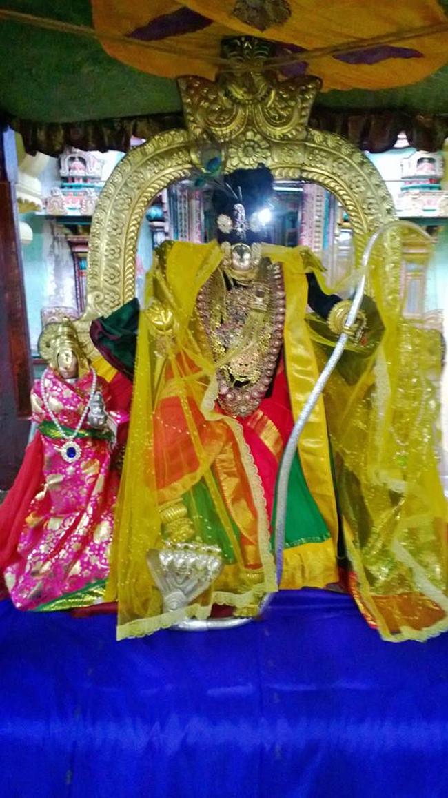 Vanamamalai Deivanayaga Perumal Pagal Pathu Utsavam day 2 2013-01