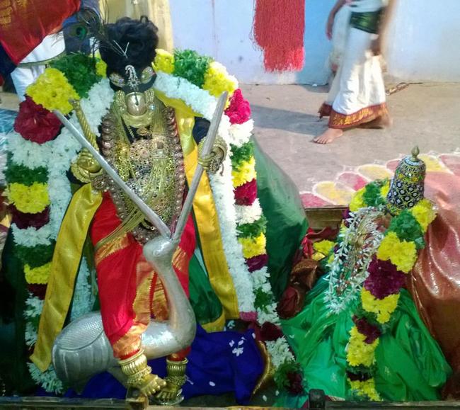 Vanamamalai Deivanayaga Perumal Pagal Pathu Utsavam day 2 2013-03