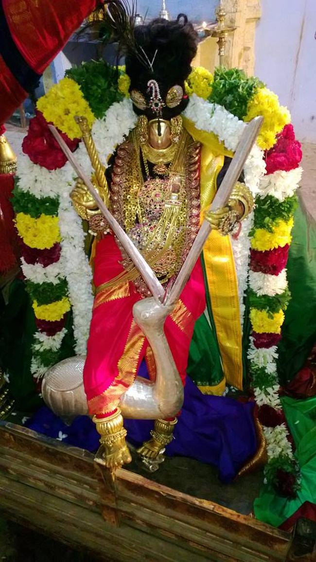 Vanamamalai Deivanayaga Perumal Pagal Pathu Utsavam day 2 2013-04