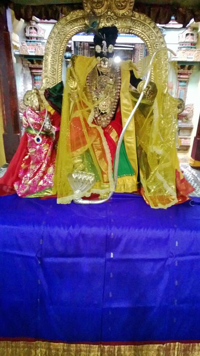 Vanamamalai Deivanayaga Perumal Pagal Pathu Utsavam day 2 2013-06