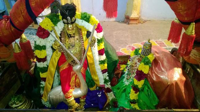 Vanamamalai Deivanayaga Perumal Pagal Pathu Utsavam day 2 2013-11