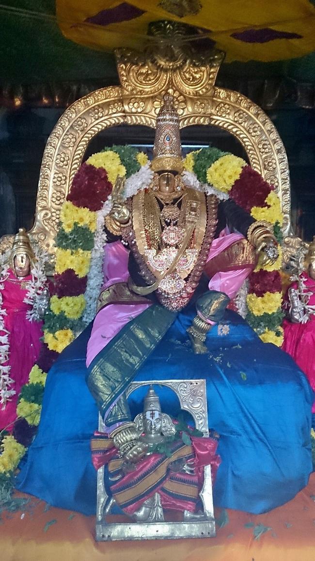 Vanamamalai Pagal pathu 5th day 2014-5
