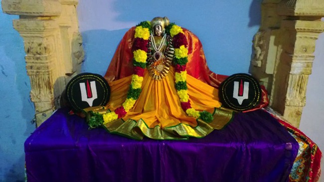 Vanamamalai Pagal pathu utsavam day 3 2013--08