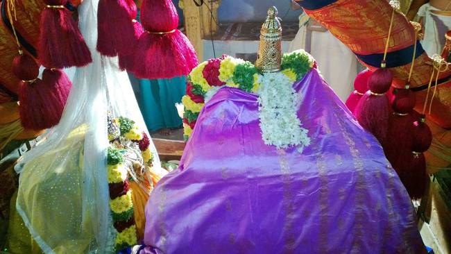Vanamamalai Pagal pathu utsavam day 6  2014-02