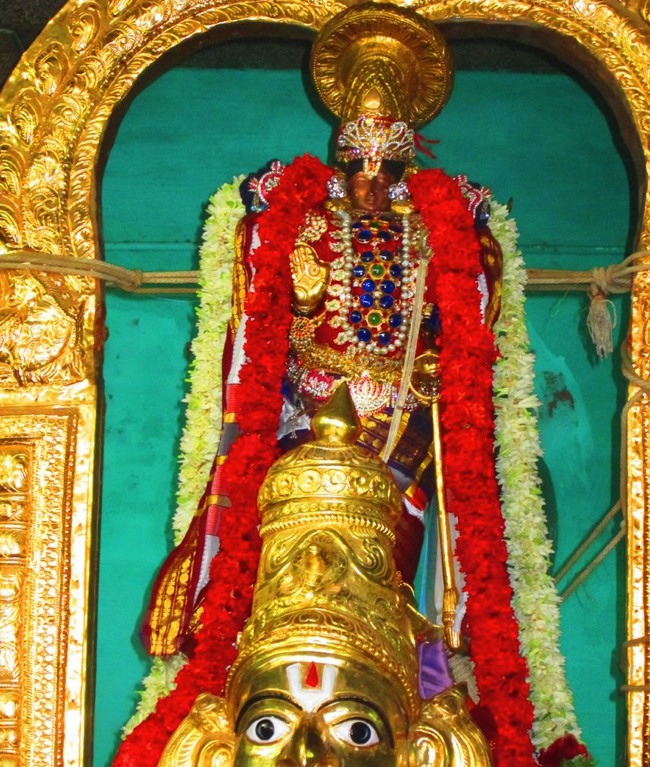 120th Thirunangur 11 Garuda Sevai  2014--0000