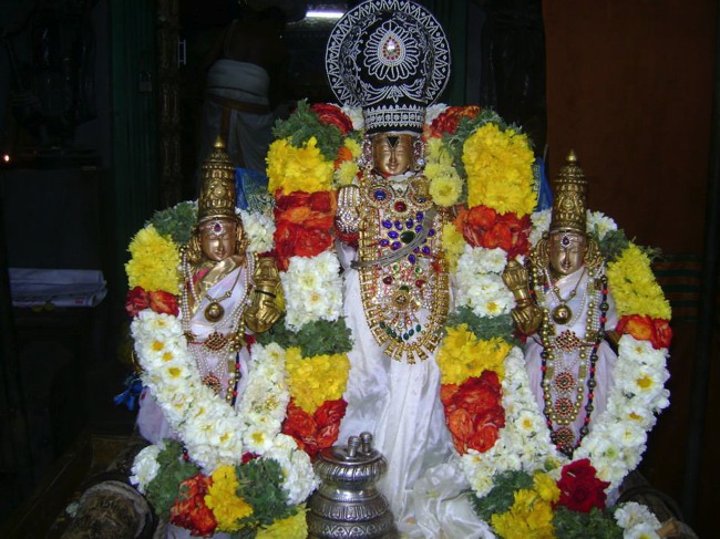 Aminjikarai Prasanna Varadharaja Perumal Temple Rathasapathami2014--03
