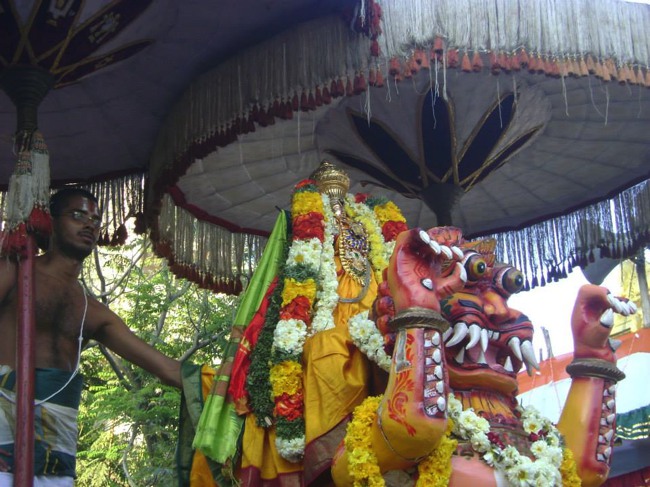 Aminjikarai Prasanna Varadharaja Perumal Temple Rathasapathami2014--06