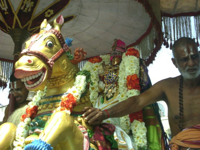 Aminjikarai Prasanna Varadharaja Perumal Temple Rathasapathami2014--11