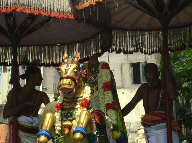 Aminjikarai Prasanna Varadharaja Perumal Temple Rathasapathami2014--12