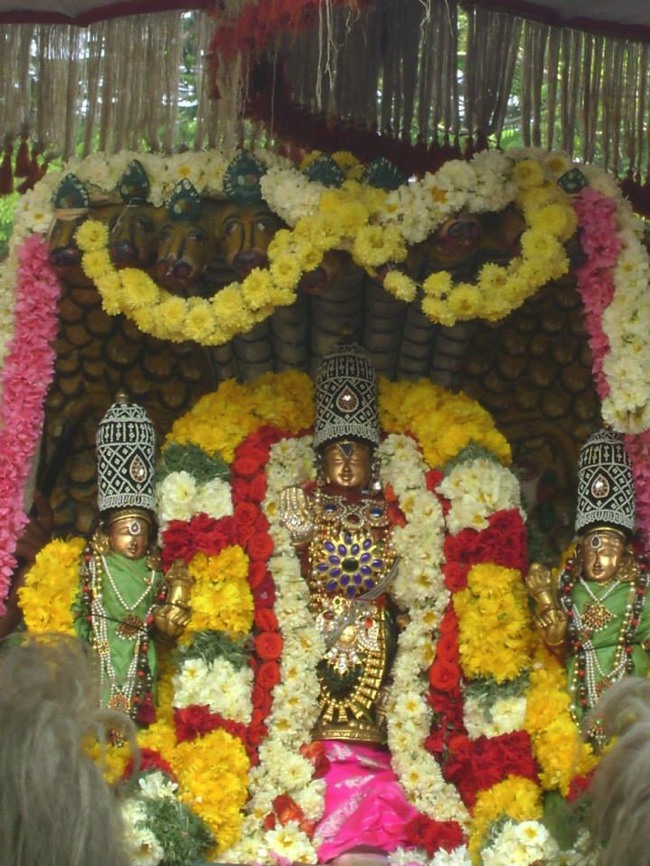 Aminjikarai Prasanna Varadharaja Perumal Temple Rathasapathami2014--16