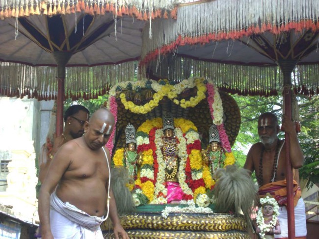 Aminjikarai Prasanna Varadharaja Perumal Temple Rathasapathami2014--17