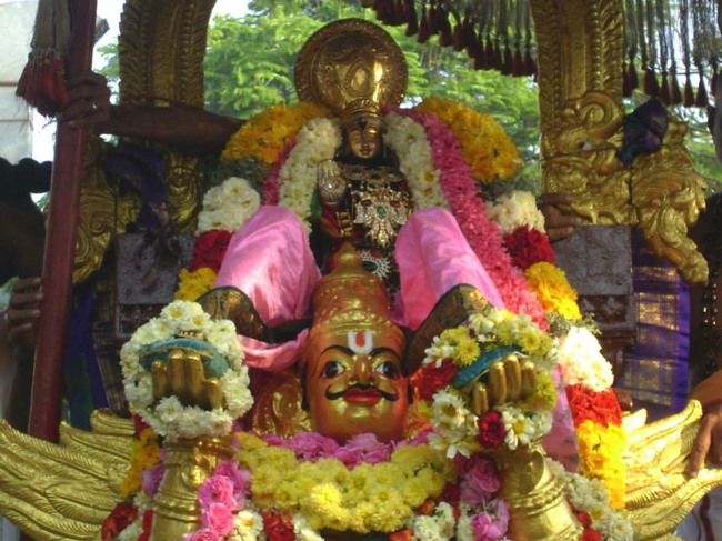 Aminjikarai Prasanna Varadharaja Perumal Temple Rathasapathami2014--21