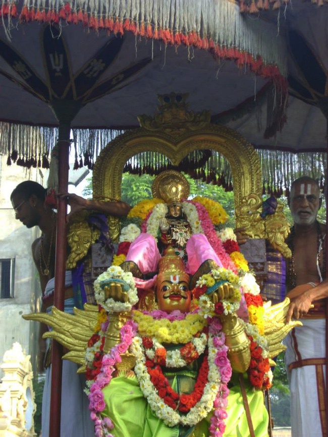 Aminjikarai Prasanna Varadharaja Perumal Temple Rathasapathami2014--22