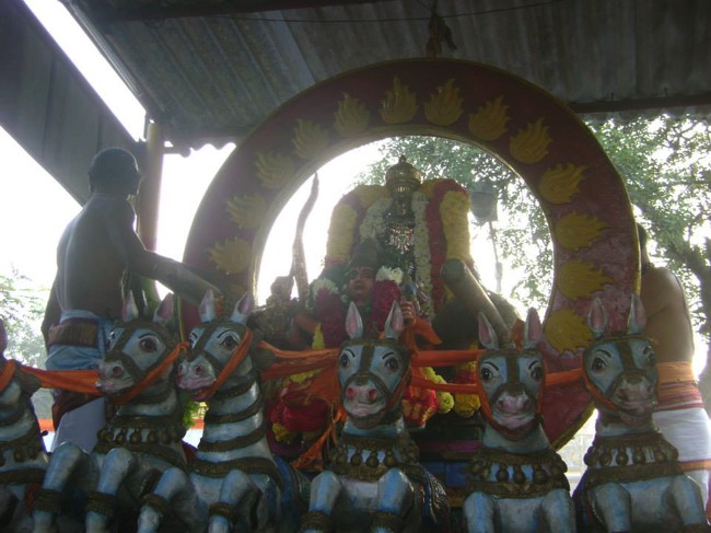 Aminjikarai Prasanna Varadharaja Perumal Temple Rathasapathami2014--26