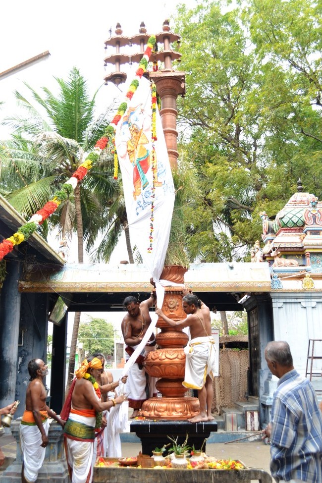 BHEL Venkatachalapathi Temple Brahmotsavam day 1  2014 -3