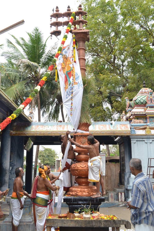 BHEL Venkatachalapathi Temple Brahmotsavam day 1  2014 -4