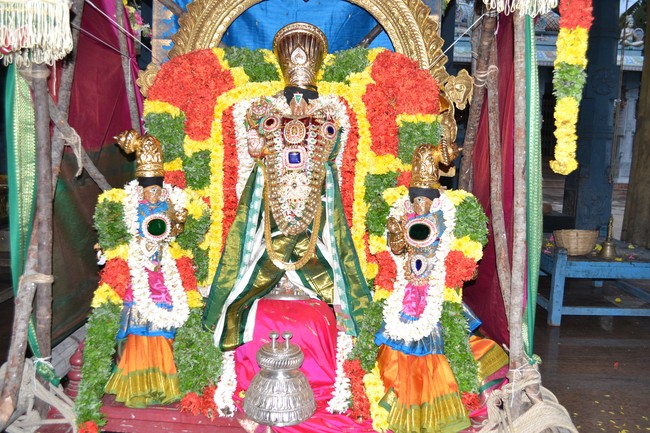 BHEL Venkatachalapathi Temple Brahmotsavam day 1  2014 -5