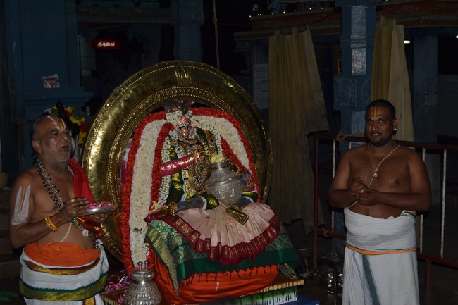 Bhel Venkatachalapathi temple Brahmotsavam day 2 2014 -06