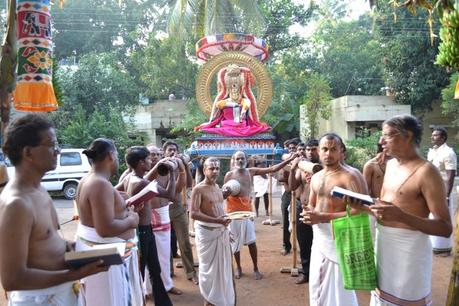 Bhel Venkatachalapathi temple Brahmotsavam day 2 2014 -09