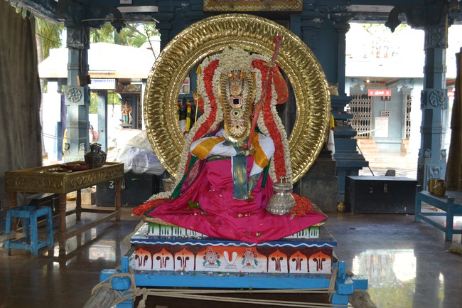 Bhel Venkatachalapathi temple Brahmotsavam day 2 2014 -11