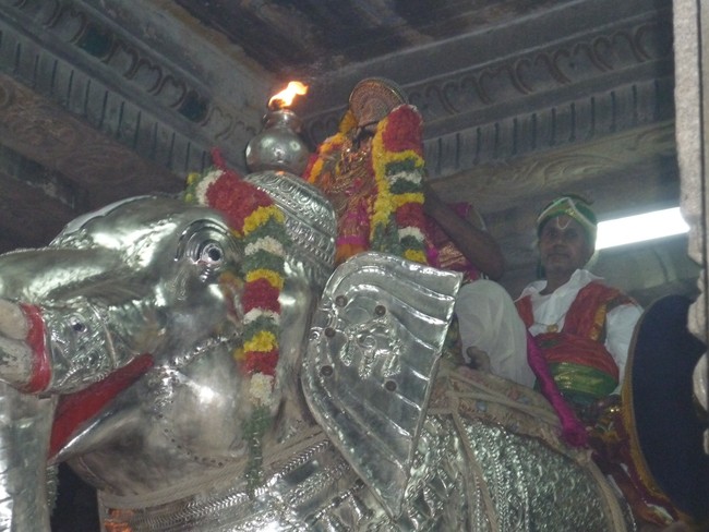 Bhoopathi THirunal Day 6 Yanai vahana  Purappadu -33