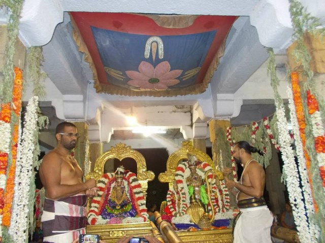 Kanchi Devaperumal Dhavana utsavam day 2   2014 -01
