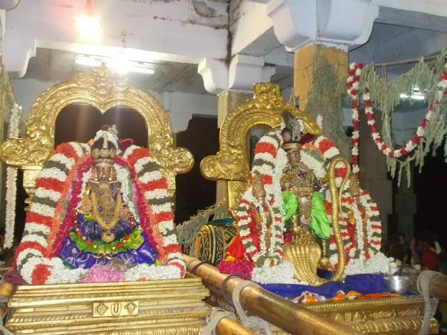 Kanchi Devaperumal Dhavana utsavam day 2   2014 -02