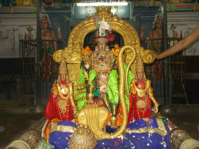 Kanchi Devaperumal Dhavana utsavam day 2   2014 -03