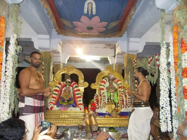 Kanchi Devaperumal Dhavana utsavam day 2   2014 -06
