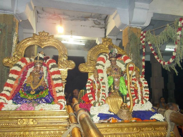 Kanchi Devaperumal Dhavana utsavam day 2   2014 -11