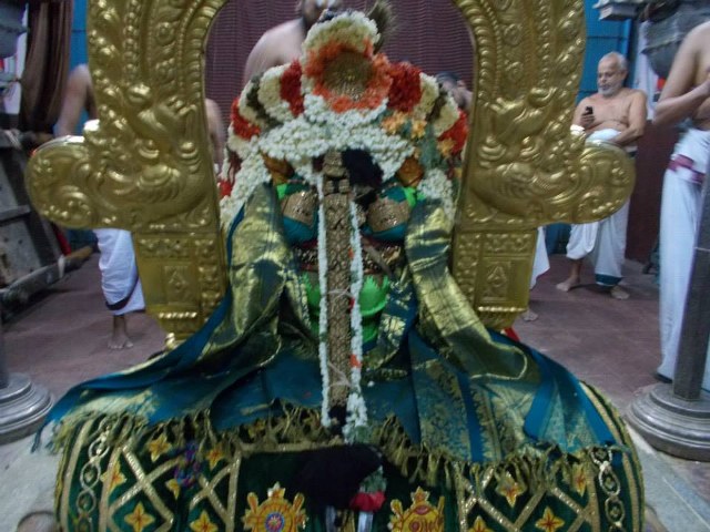 Kanchi Devaperumal Dhavana utsavam day 2   2014 -12