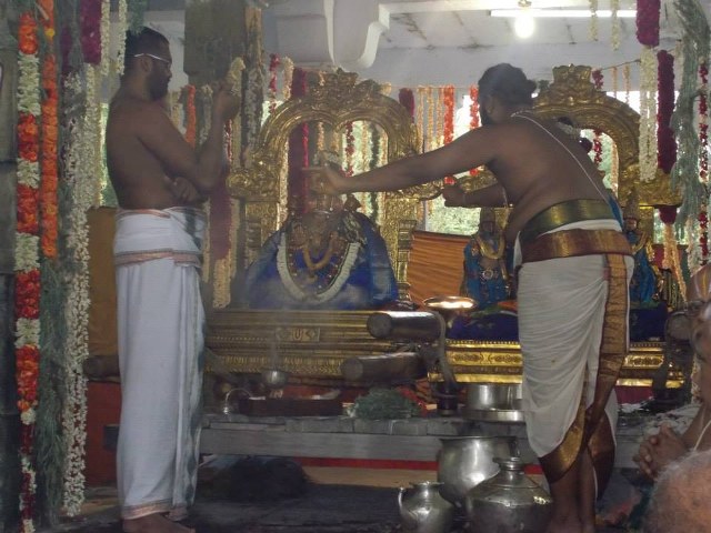 Kanchi Devaperumal Dhavana utsavam day 3   2014 -01