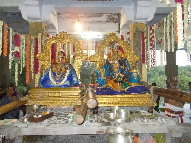 Kanchi Devaperumal Dhavana utsavam day 3   2014 -02