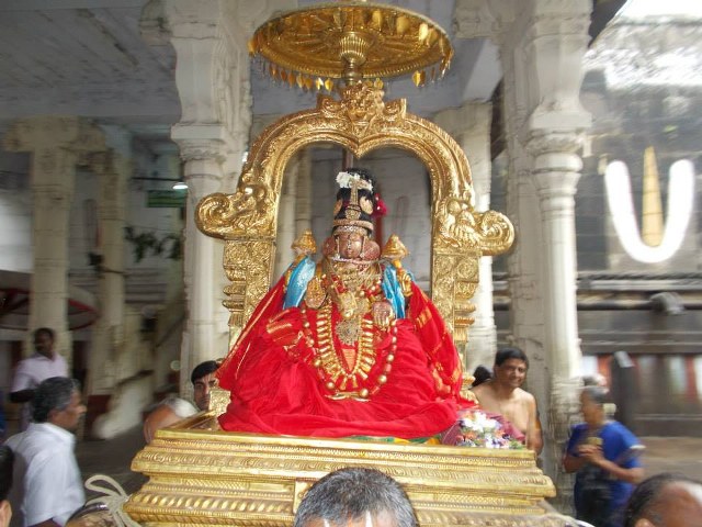 Kanchi Devaperumal Dhavana utsavam day 3   2014 -05