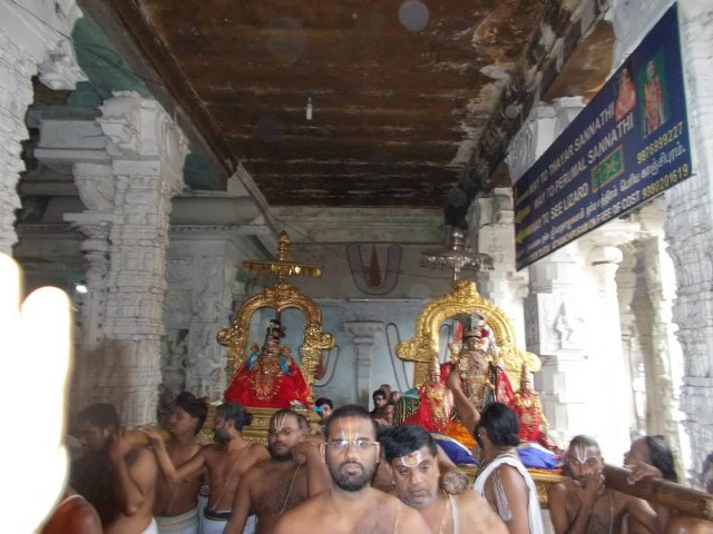 Kanchi Devaperumal Dhavana utsavam day 3   2014 -08