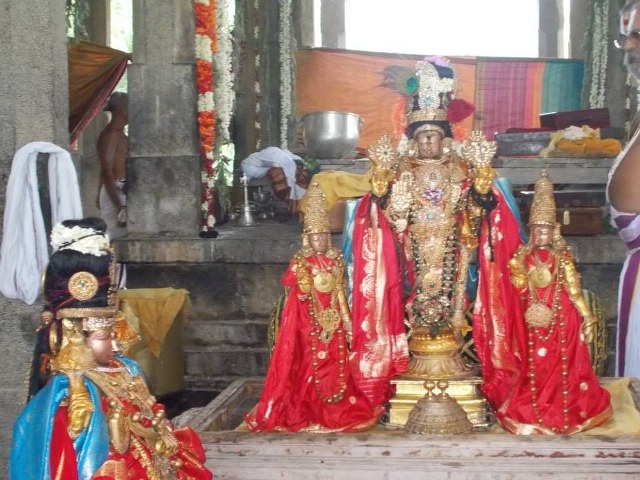 Kanchi Devaperumal Dhavana utsavam day 3   2014 -10