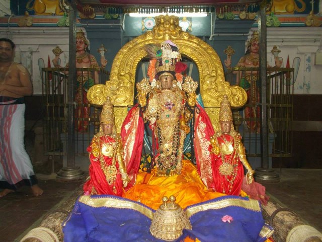 Kanchi Devaperumal Dhavana utsavam day 3   2014 -11